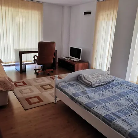 Apartament Motilor *